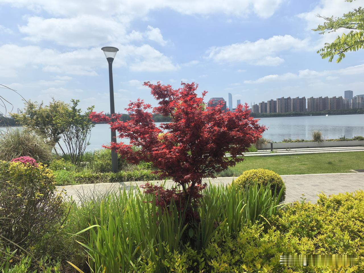 方博准备代表哈萨克斯坦参加WTT冠军赛，这是今天热搜上让人挺意外的消息。

说意