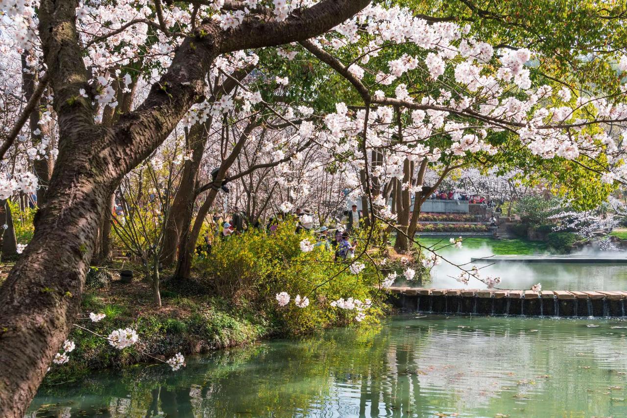 无锡鼋头渚。无锡鼋头渚风光摄影 风景摄影 我的摄影日记 风景如画的地方
