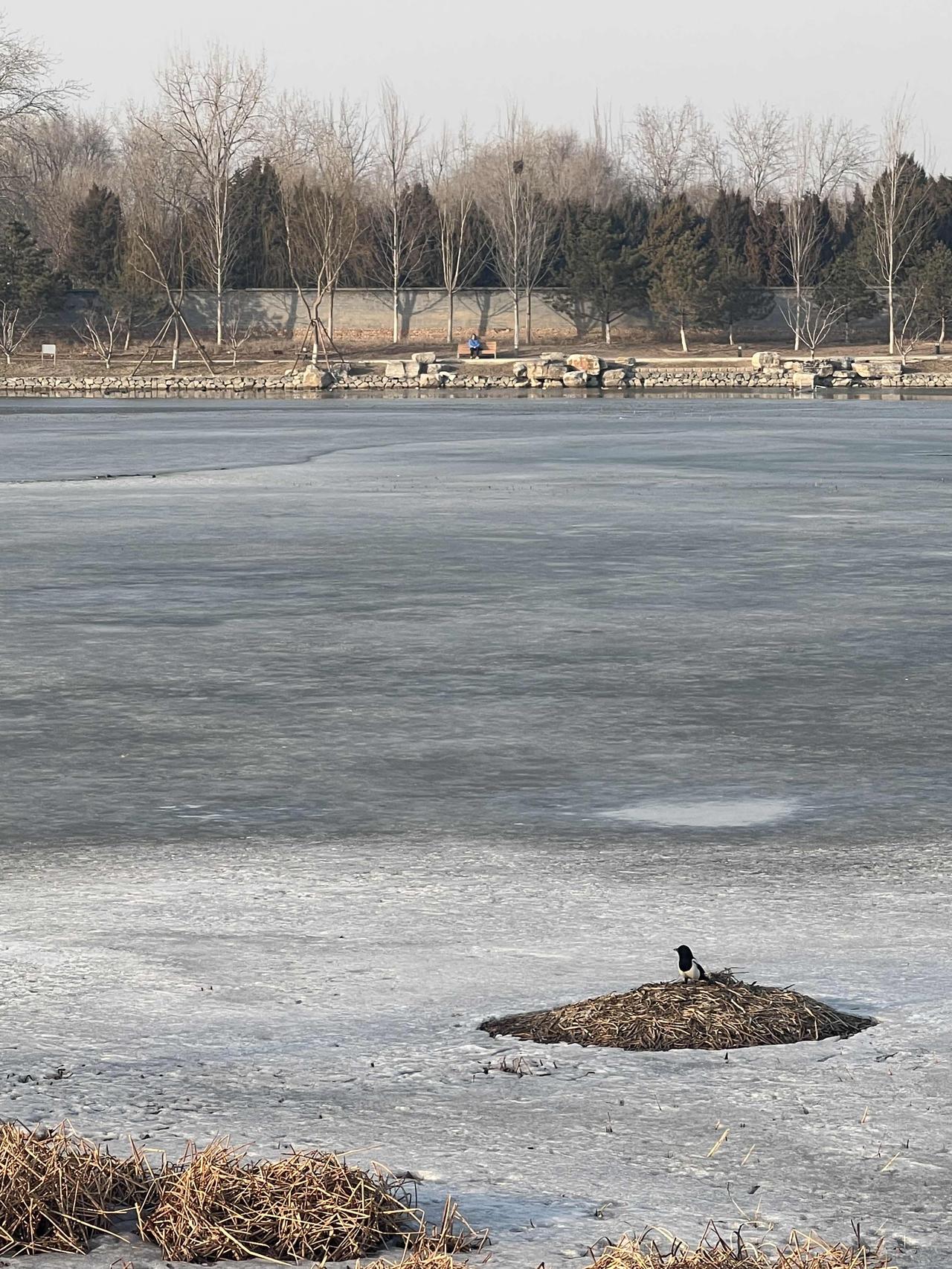 位于颐和园东侧的扇子湖建于清乾隆二十八年，当时称之前湖，是与颐和园相配套的景观，