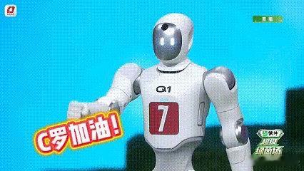 被这个可爱的小家伙圈粉只需要一秒，“siu”的那一下！整套庆祝动作连贯流畅，腾空