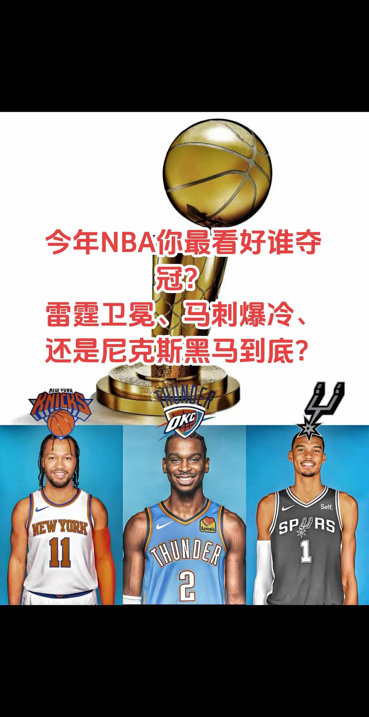 你觉得最终花落谁家？NBA季后赛 NBA 马刺总冠军