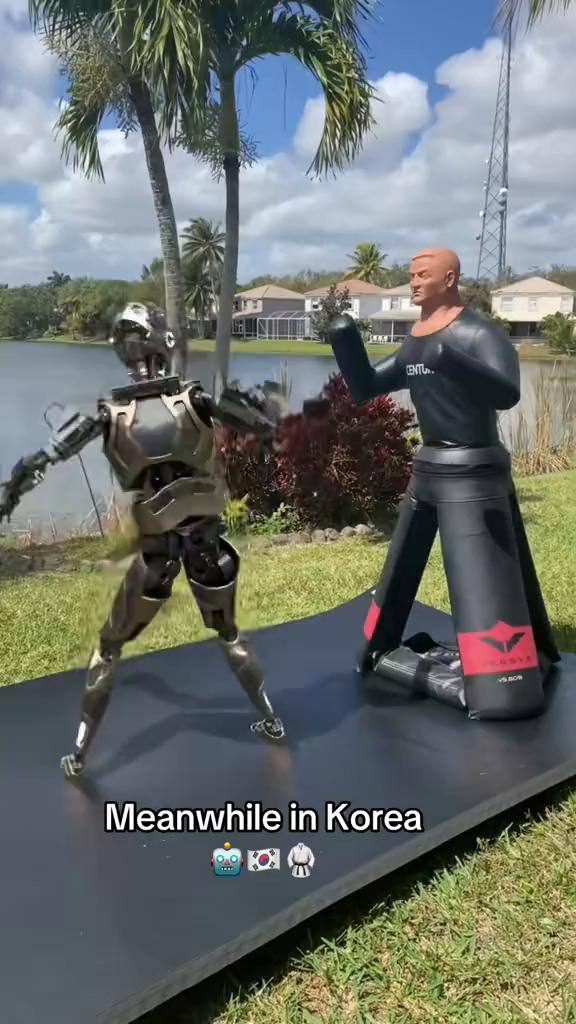 Meanwhile in Korea。