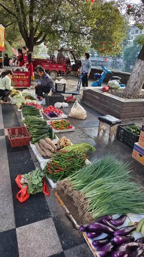 清晨的菜场，遇见三十年前的自己
清晨六点半，菜市场刚铺好塑料布。我蹲在地上挑西红