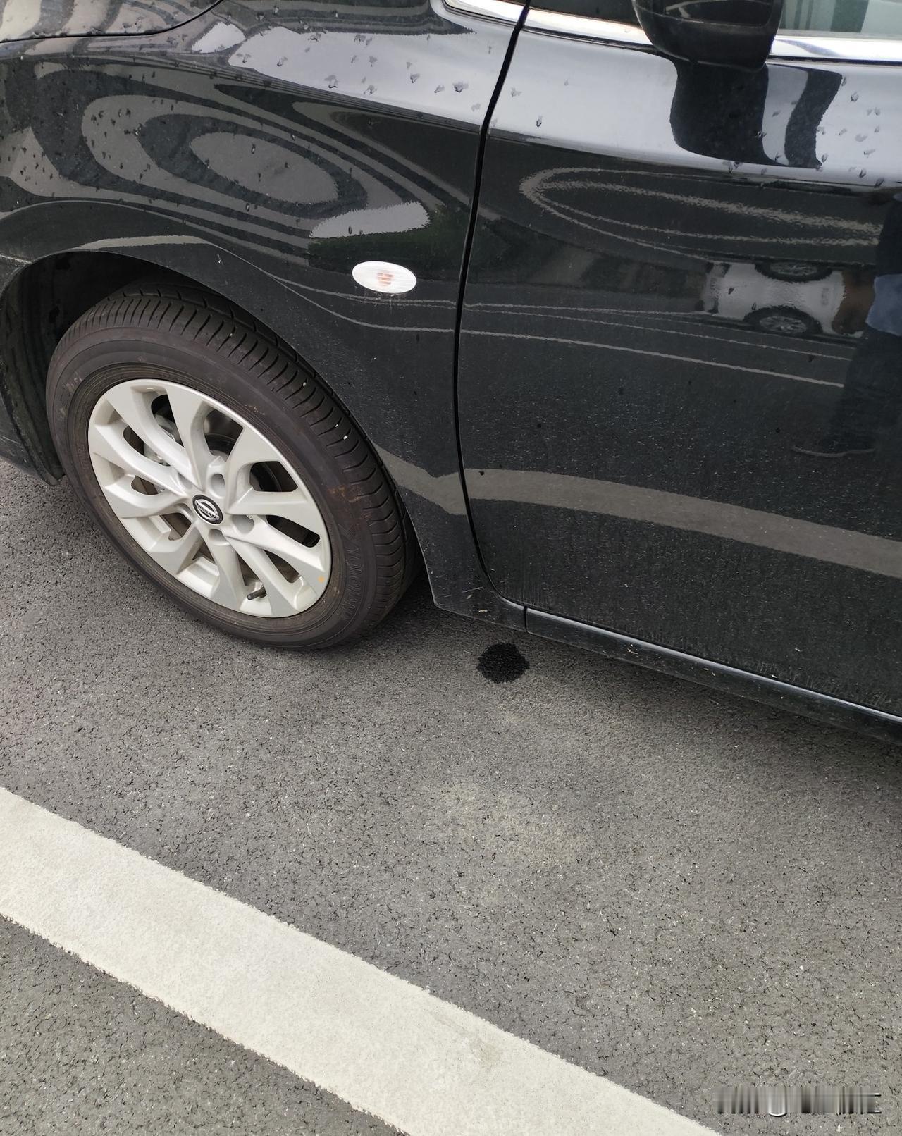 想问一下朋友们，汽车前轮左右两侧。这个地方都滴机油是怎么回事？