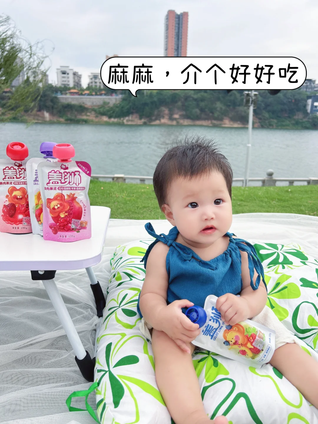 我家宝宝出游必备，哭着都要吃‼️