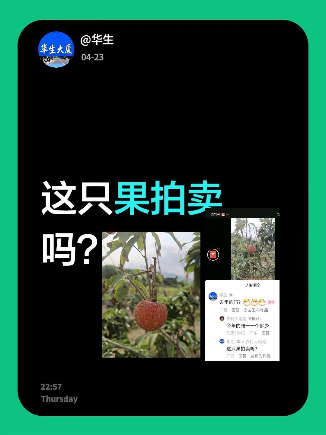 价值翻倍的荔枝。我回复了@农村大姐姐 的评论：这只果拍卖吗？