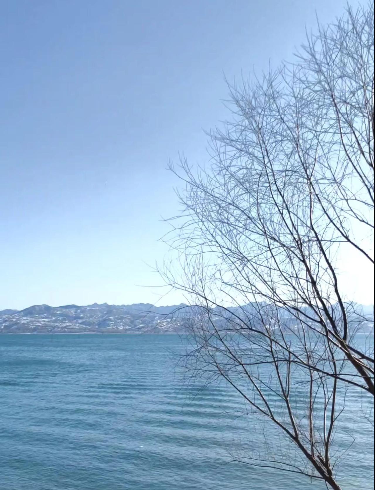 元旦假期，打算怎么过呢？ 要不然去爬山？少室山 爬山 元旦假期