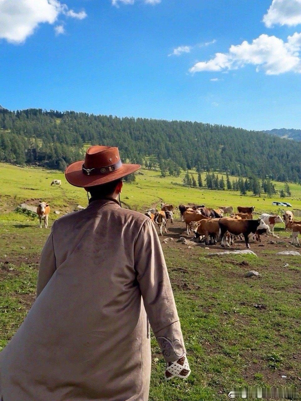 #张大大拍的阿勒泰#张大大拍摄的阿勒泰太美了，能够有这样的风景的展现也是非常的不