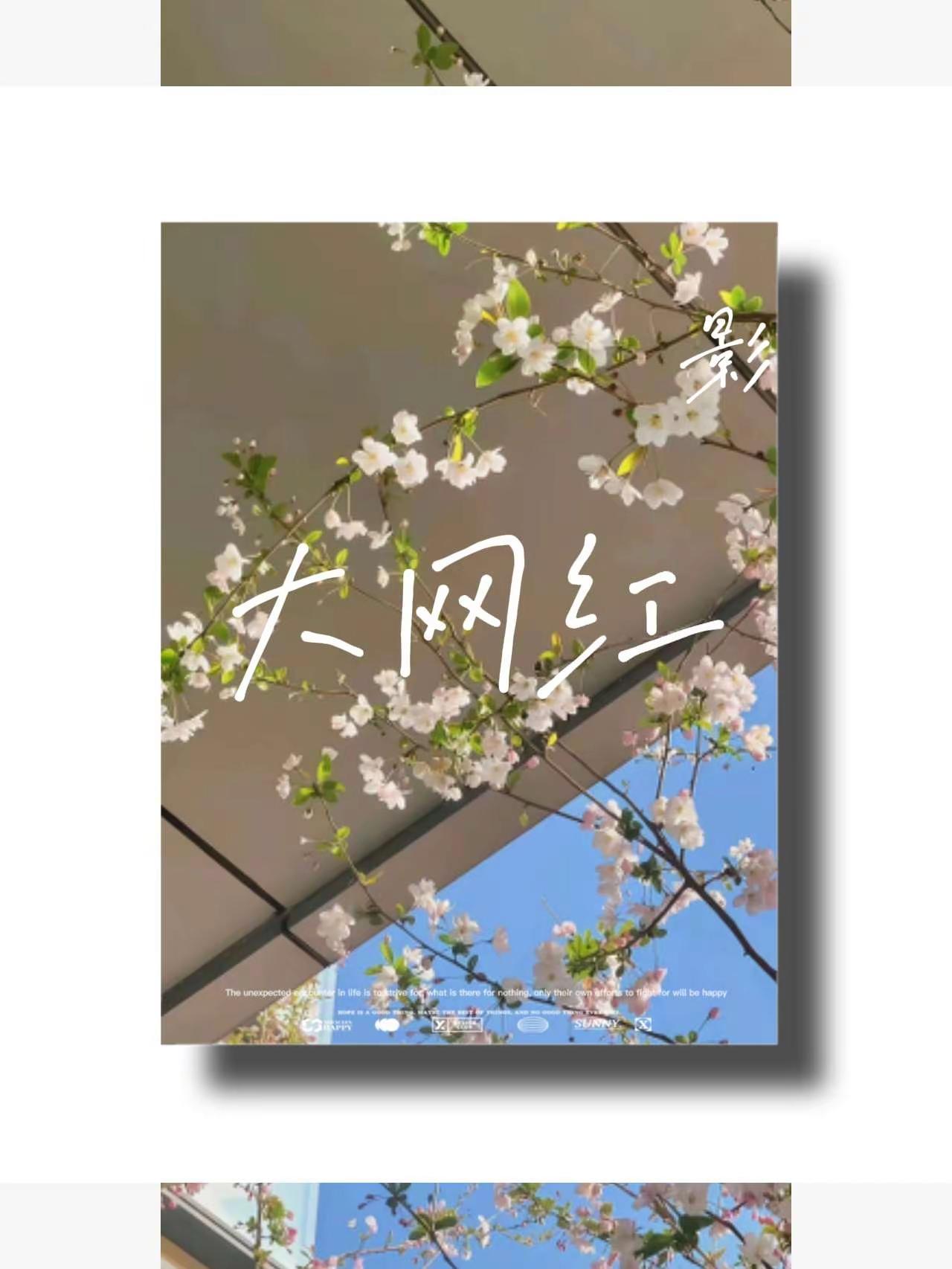 大网红。图文热点来了 图文种草机 图文扶持计划入口 图文大赢家