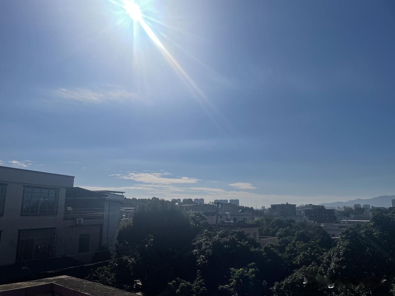 这么坑哥的弟弟，是该送进去接受教育。一男子，因为赌钱输，生活不下去了，联合自己女