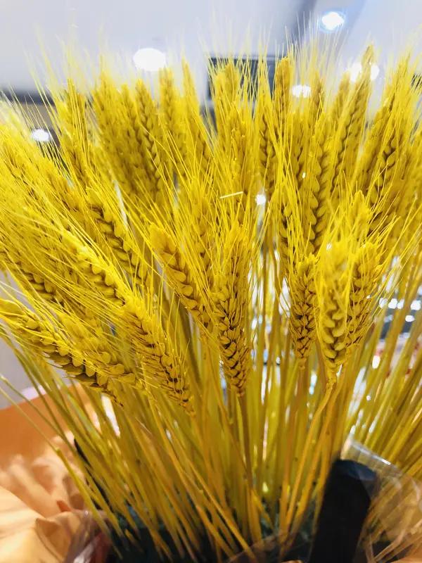 为“年年健健康康”对上联，可有不少合适的选择。像“岁岁平平安安”就很经典，“岁岁