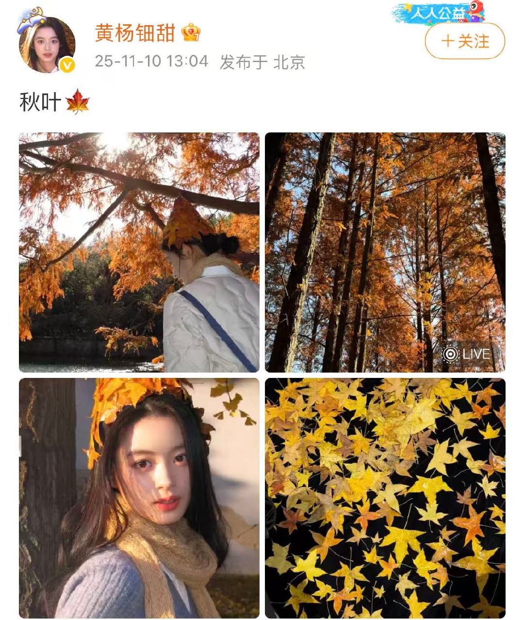 黄杨钿甜时隔半年复更黄杨钿甜戴了枫叶做的帽子 ​​​11月10日，时隔半年复更微