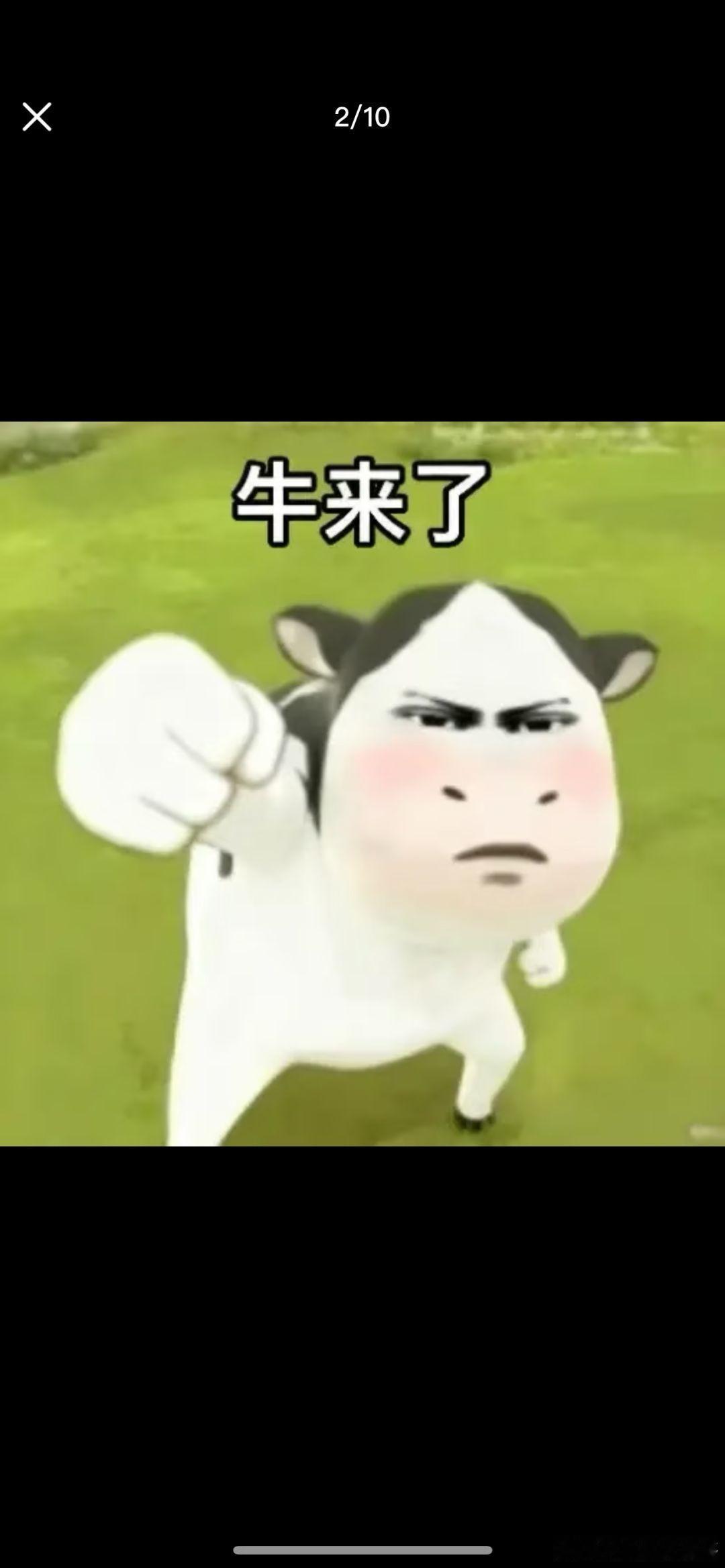 红v认证时间需要多久啊 