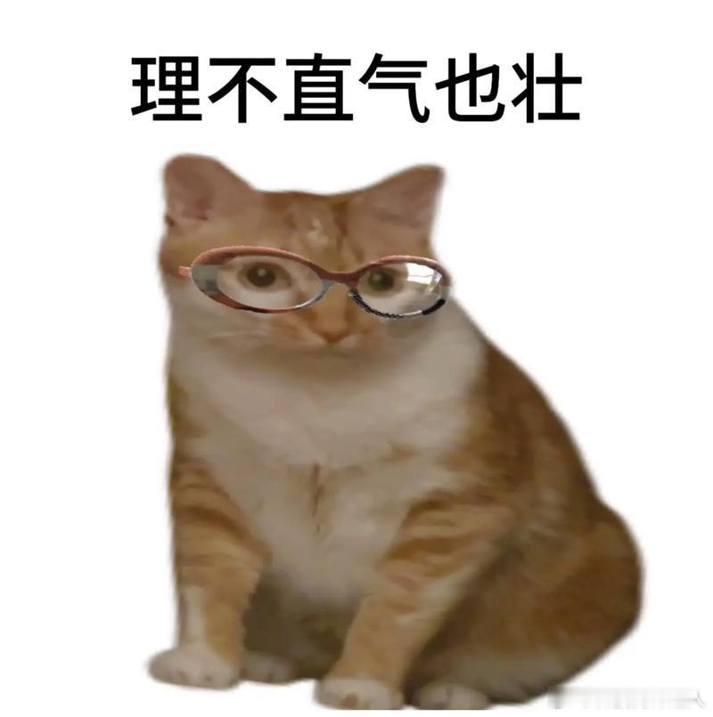 讨好型人格请反复阅读这才是需要反复阅读的，就算讨好了又怎样，这种人格在别人面前地