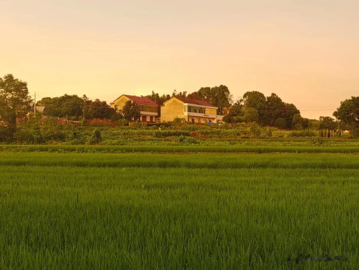 村委群里突然公布一组名单，我儿子的名字也在其中，公布原因说是从这批人开始要交40