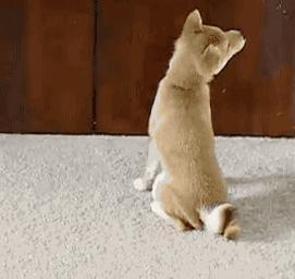 时候不早了。该睡了