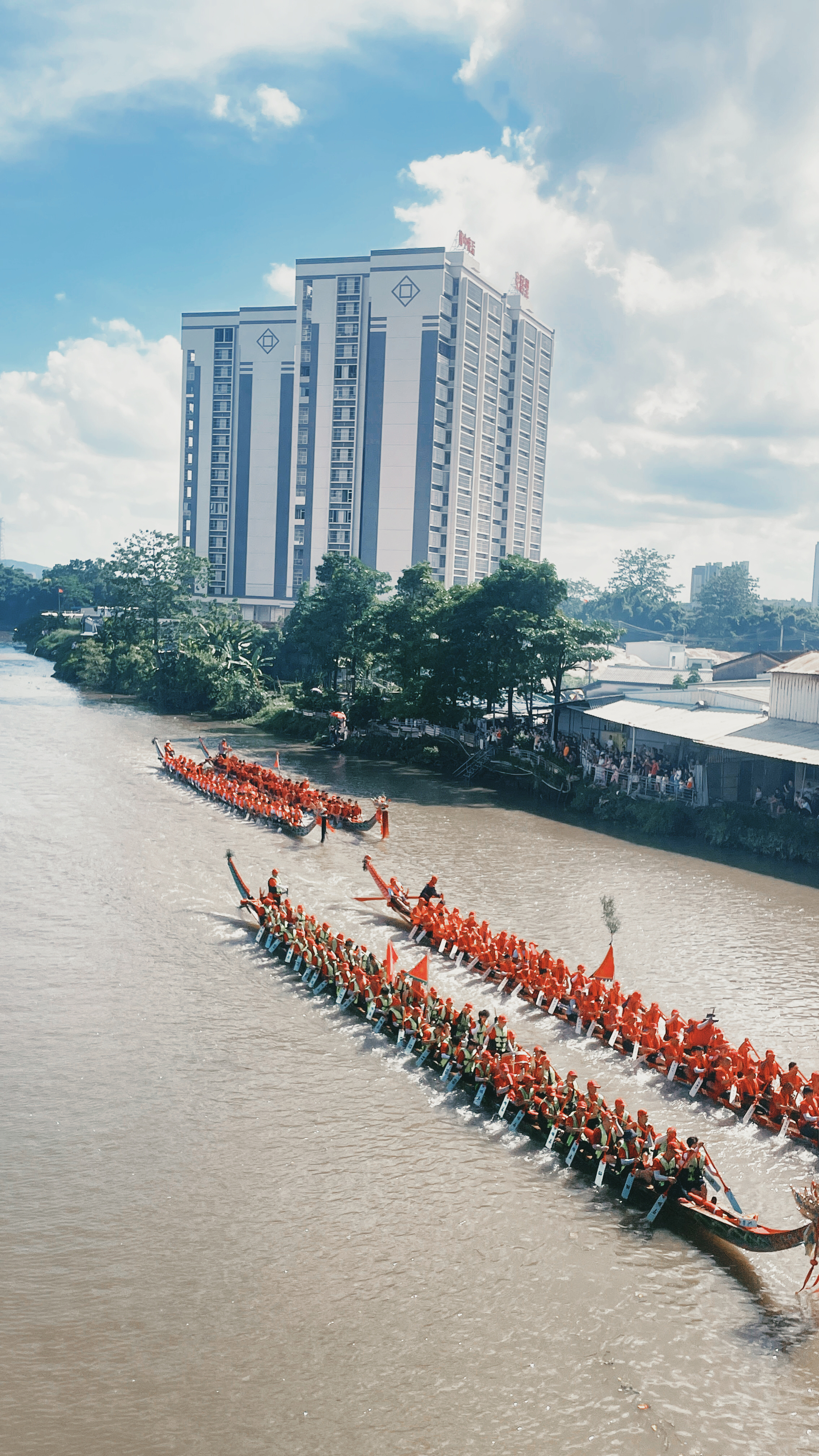 赛龙舟🛶 
