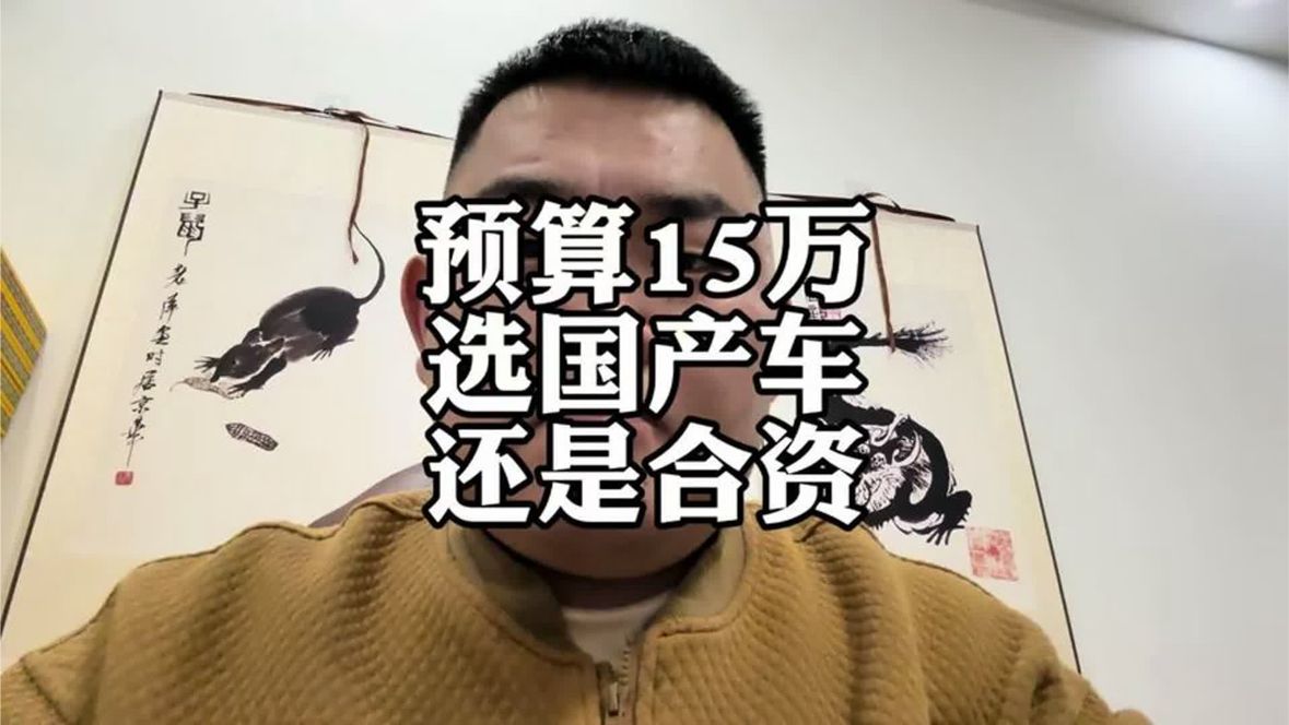 预算15万，买不起国产车的，可以看看合资车#比亚迪宋Pro