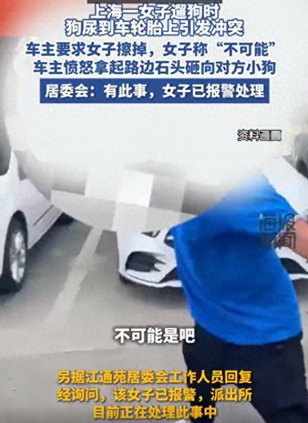 干得漂亮！2024年，上海，女子遛狗时狗撒尿在车轮胎上，车主要求女子立刻清理，女