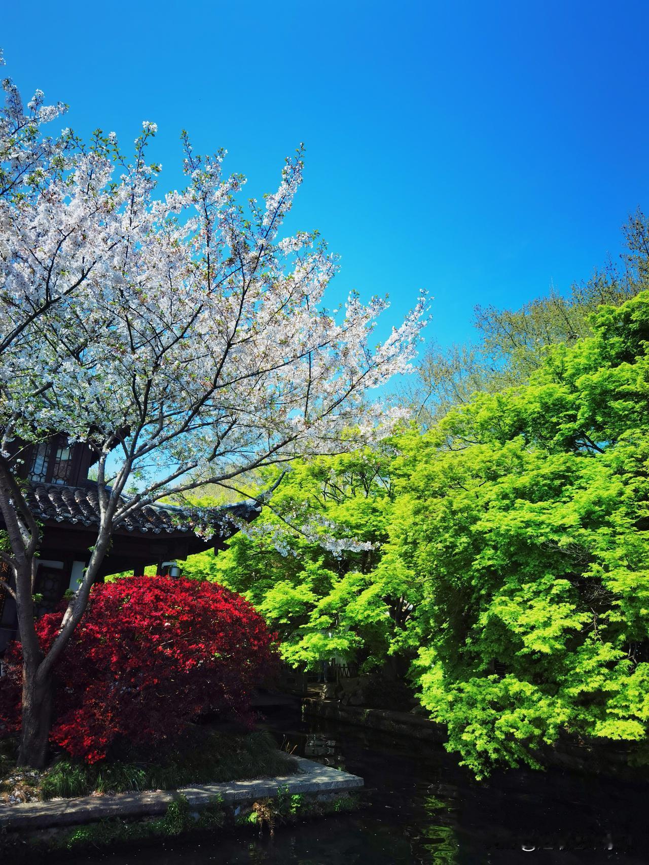 春暖花开走进杭州西湖十景之一“平湖秋月”景区！平湖秋月位于‌杭州西湖区孤山路 1