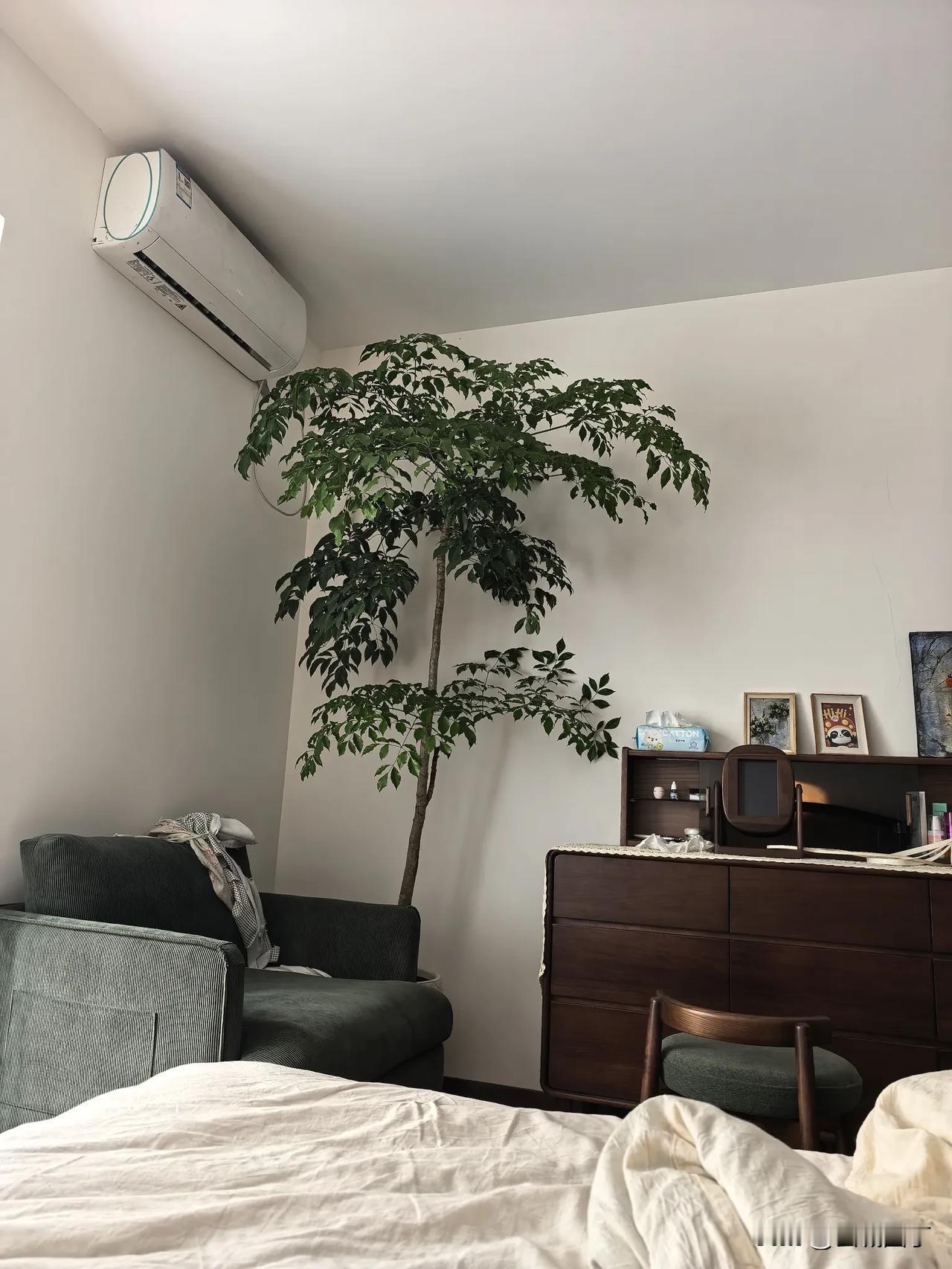 此时此刻，我深深感谢我的敏感。

昨晚睡得不好，醒来头昏昏沉沉的、很疲惫。可一翻