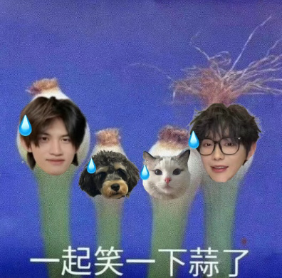 分享图片 