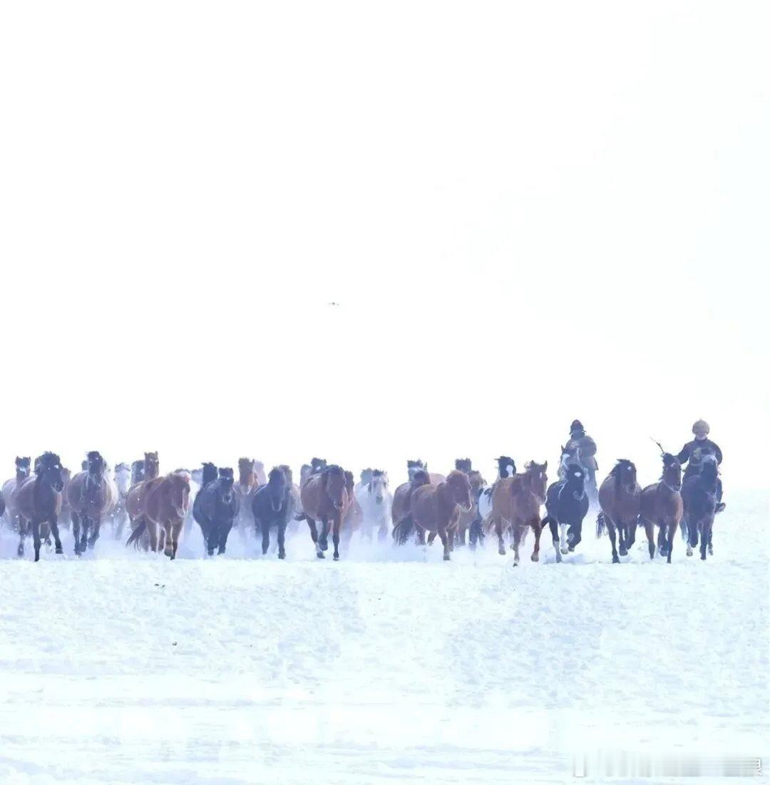 【陈先义：向“天山焦裕禄”式的好干部贺娇龙学习的民间倡议】       新疆焦裕