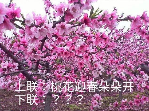 新联邀对。
[微风][微风][微风]
上联：桃花迎春朵朵开；
下联：？？？
[烟