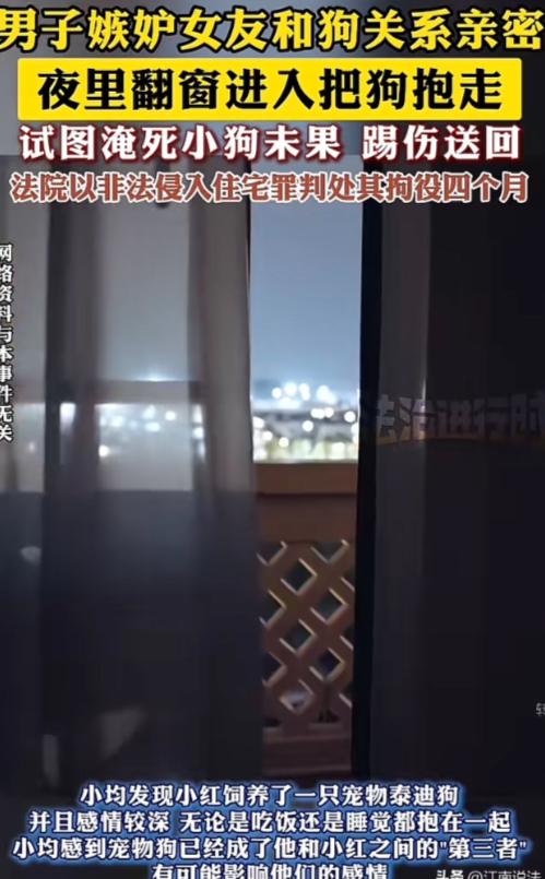上海，一男子发现女友，与其宠物泰迪狗关系异常亲密，吃饭睡觉都抱着，男子起了嫉恨之