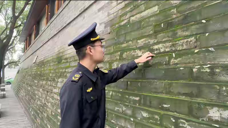 近日，受持续秋雨影响，西安部分城墙段青苔密布，引发广大市民的关注。与此同时，大雁