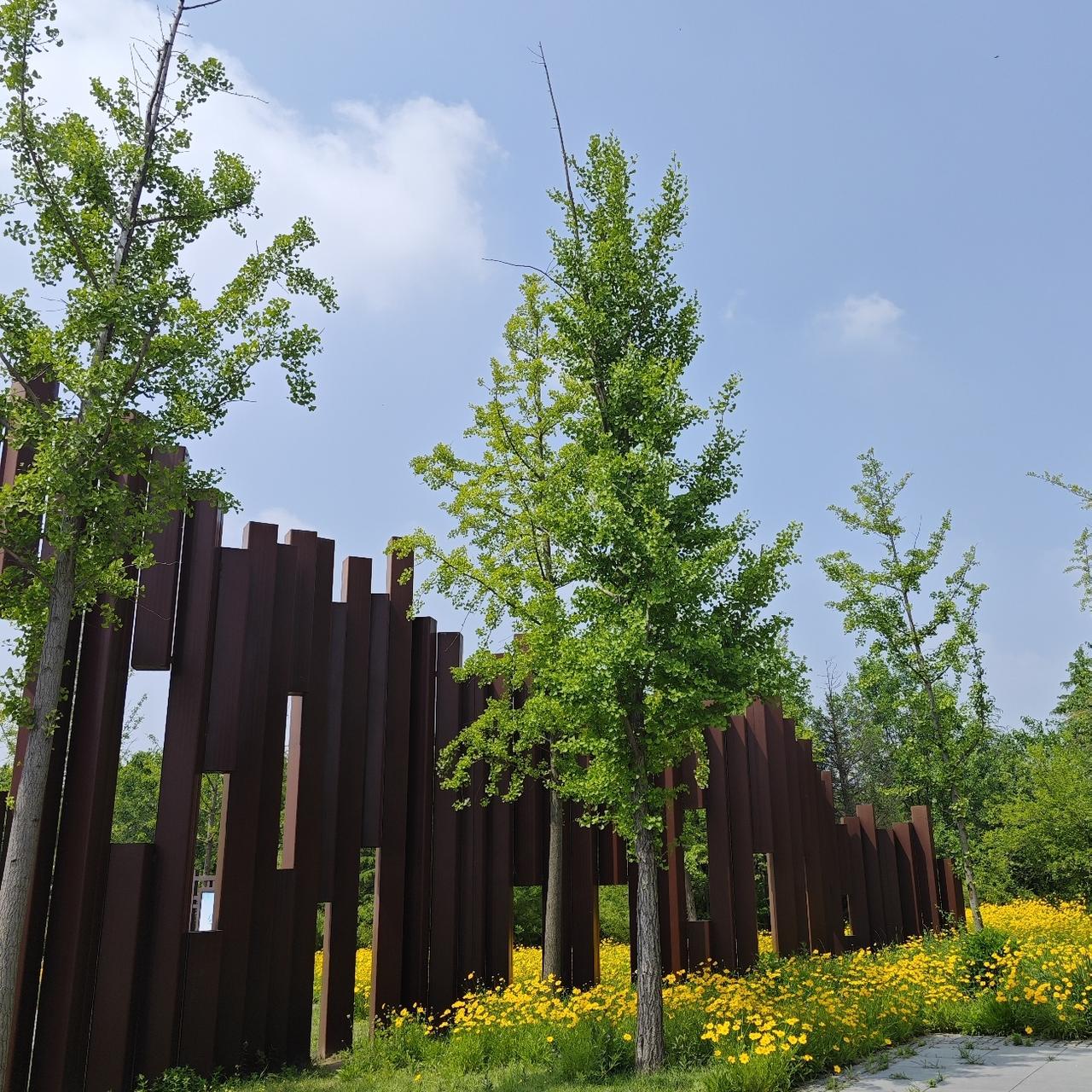 早起时看“JM”气温最高28°C，可此时已经到了29°C。
这个温度待在家里还是