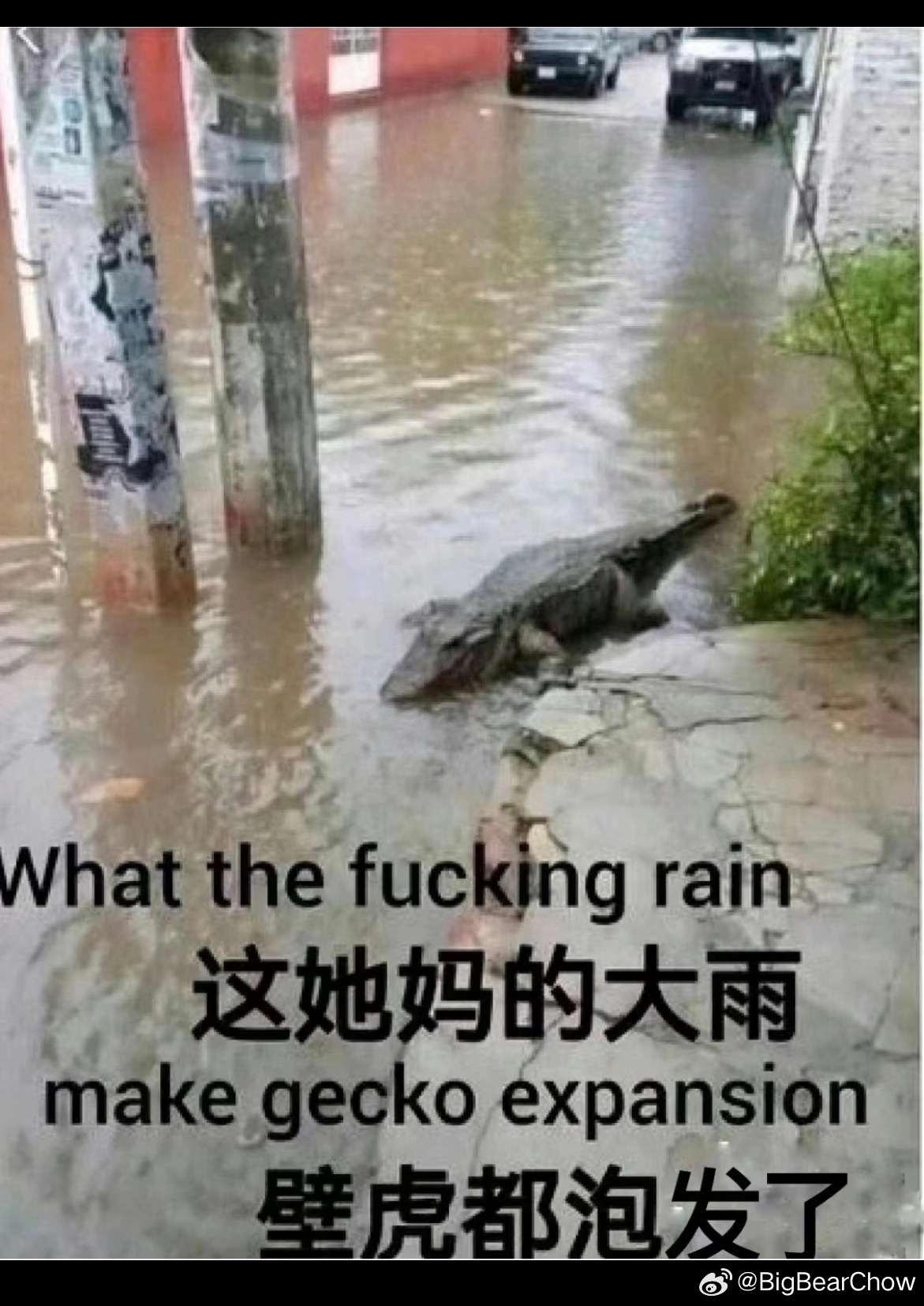 反正每次去加油我都没关注单价都是加200块就算了到了加不起油的那天就只能公交地铁