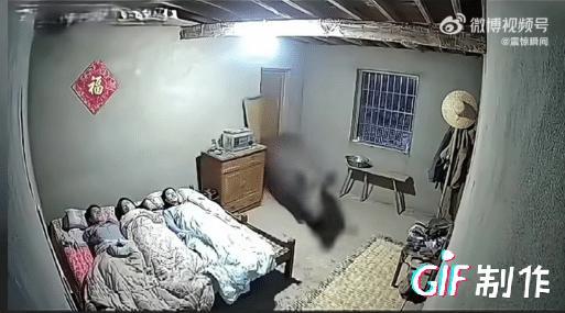 一女子正在睡觉
野猪突然跑进了卧室