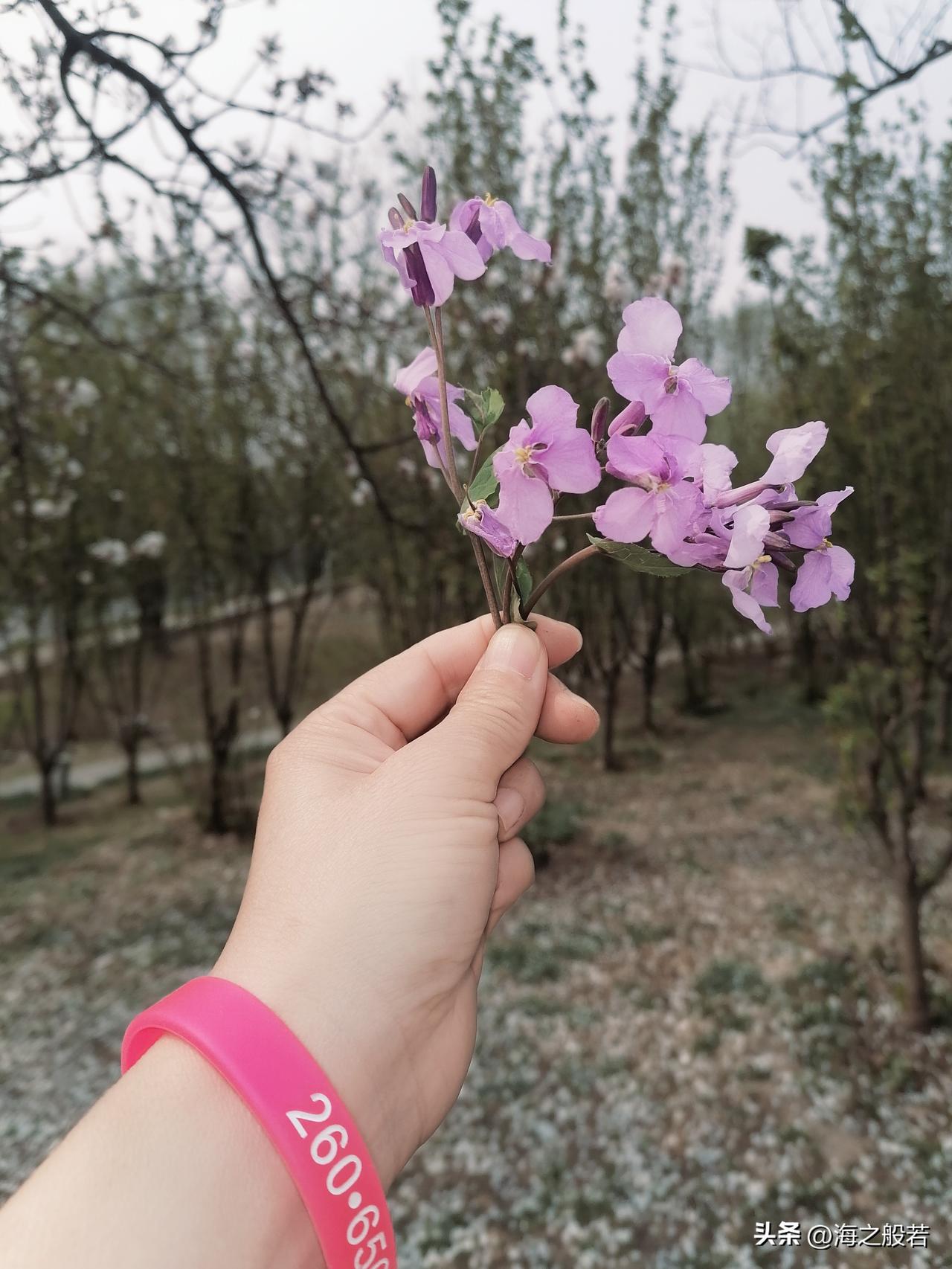 官方都说话了，确实值得点赞。最高法已经扩大了家暴的范畴，家暴不仅仅是殴打，对配偶