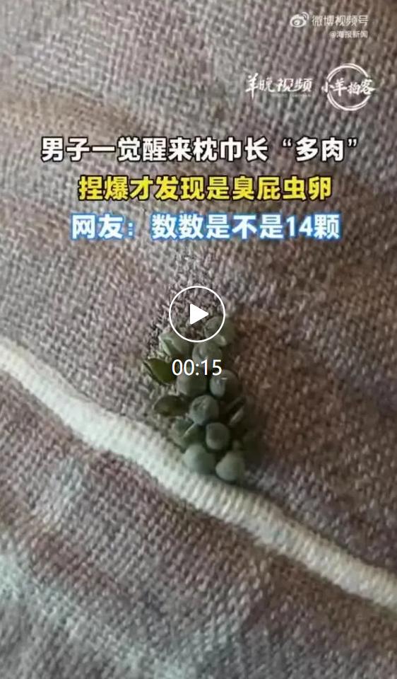 不少人晾晒衣物总遇到奇怪小颗粒，近日深圳一位刘先生就碰上一件让人浑身发麻的怪事，