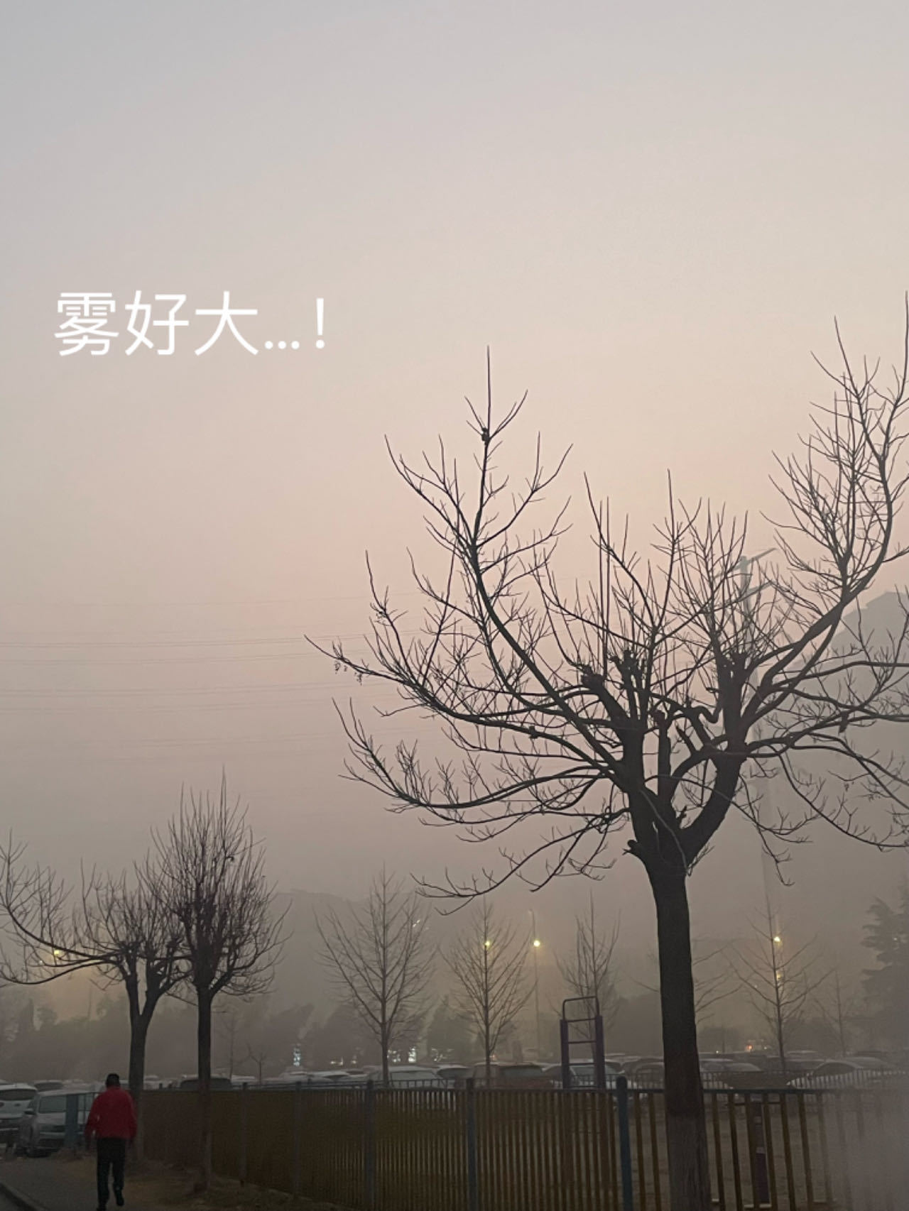 钱多多的打工日记来啦[兔子]不演了，放假前几天真的无心工作再出门逛两圈感觉人都少