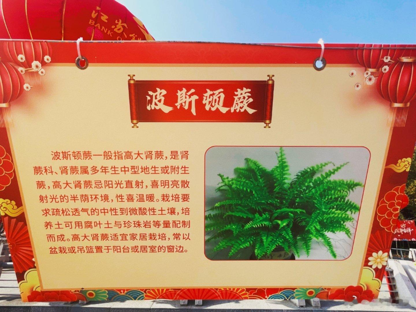 春节摄影大赛   春暖花开，万物复苏。公园里的花卉知识普及宣传栏！美丽淮安是我家