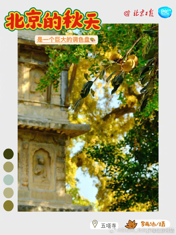 【#北京正是橙黄橘绿时##在北京别等到下周末才去赏秋# 】有人说，经历过北京的秋