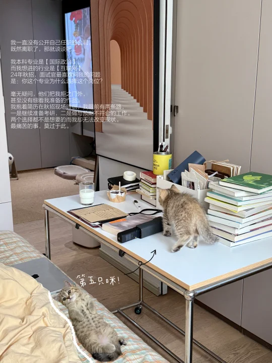 凡岛离职、做饭健身、她不住阳光进不来的房子