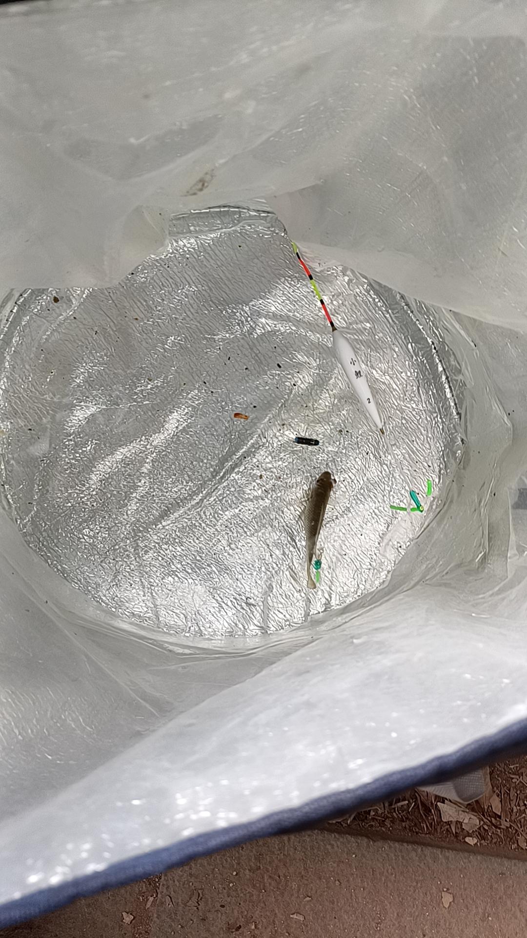 明天马刺在尼克斯主场的比赛决定了自己能不能成为伟大的传球，如果斑马还是不争气，那