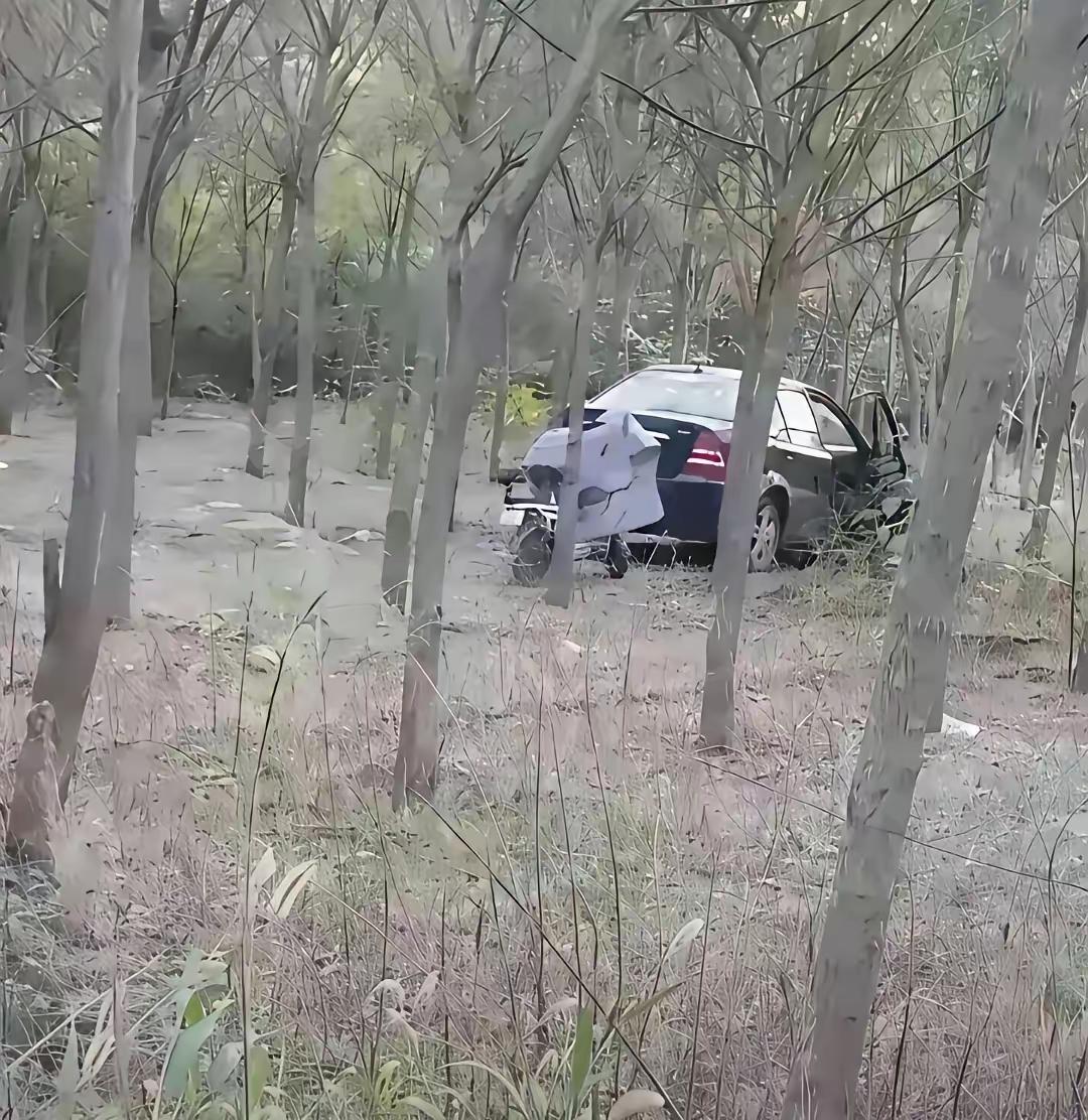 看得出这对野鸳鸯，必是各自家庭关系不和谐，日子过得一地鸡毛，郁闷才想出如此下策，