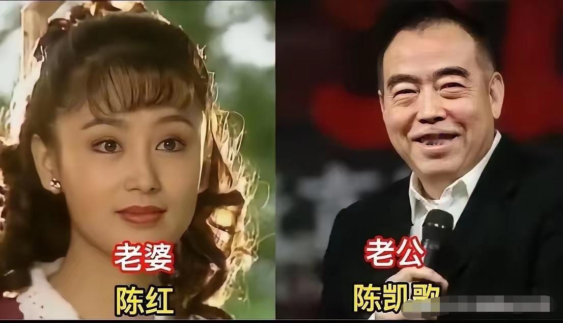 娱乐圈不少才情出众的女星，缘分辗转，与导演结缘相守。杨澜、陈意涵、蒋雯丽等一众女
