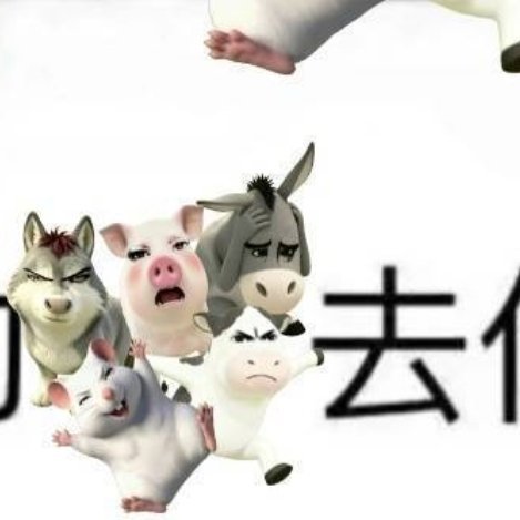 0000鱼腥草性微寒，味辛，可以清热解毒，消痈排脓，还可以止血、止咳。夏天，鱼腥