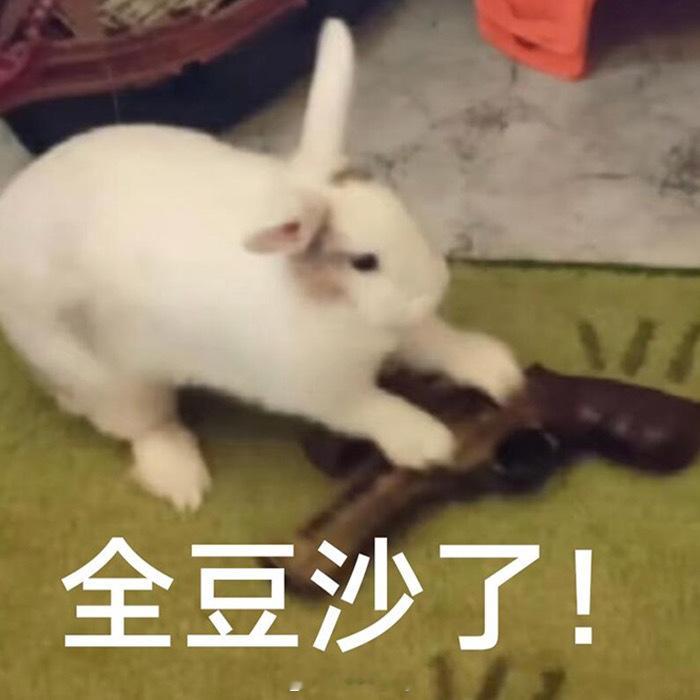 angel改编版好难听！！！！支持嘴替妹子！ 