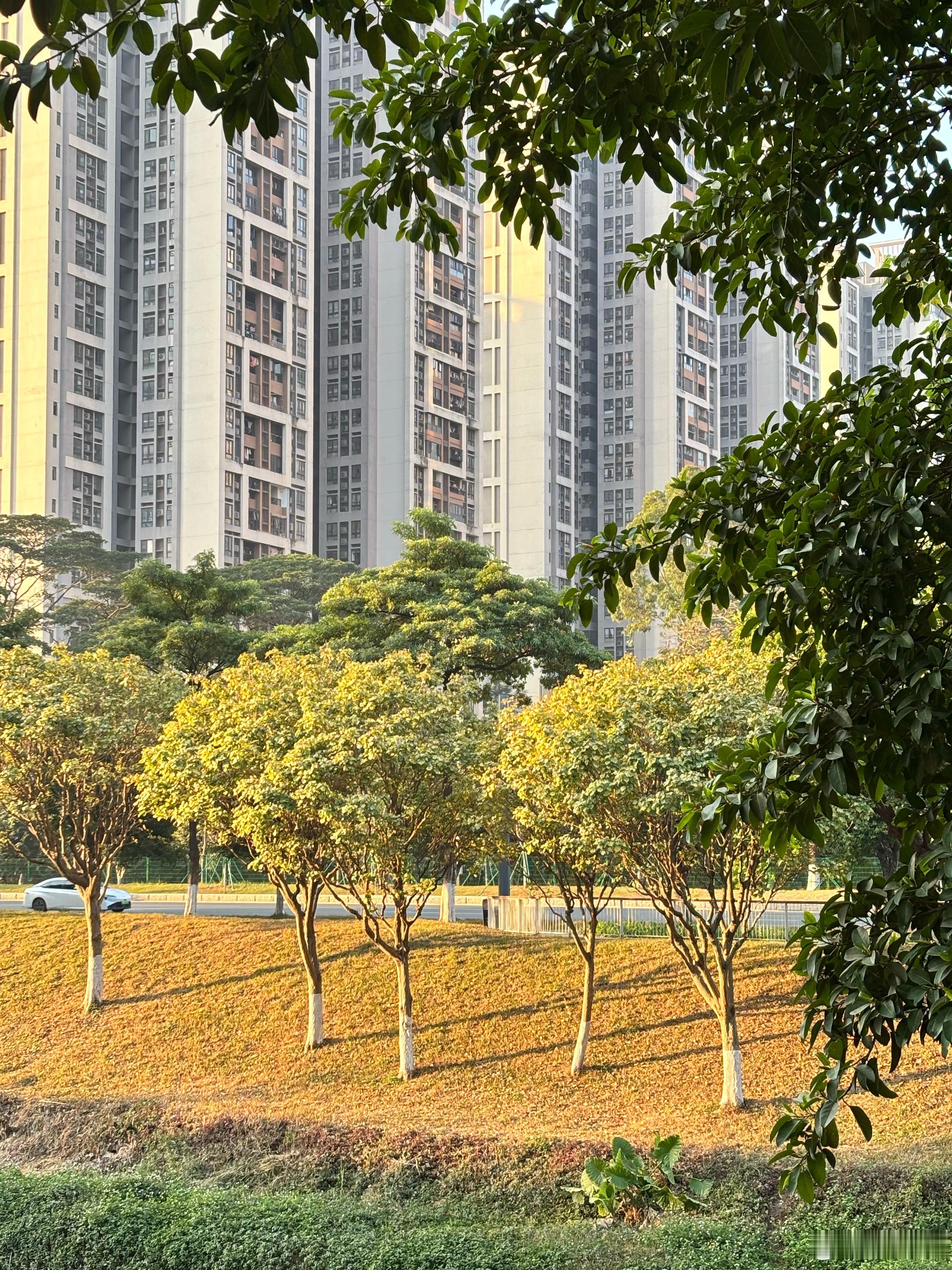 广东的寒冷程度比东北还恐怖一直暖和的广州，突然降温真的觉得特别残酷。孩子们也不适