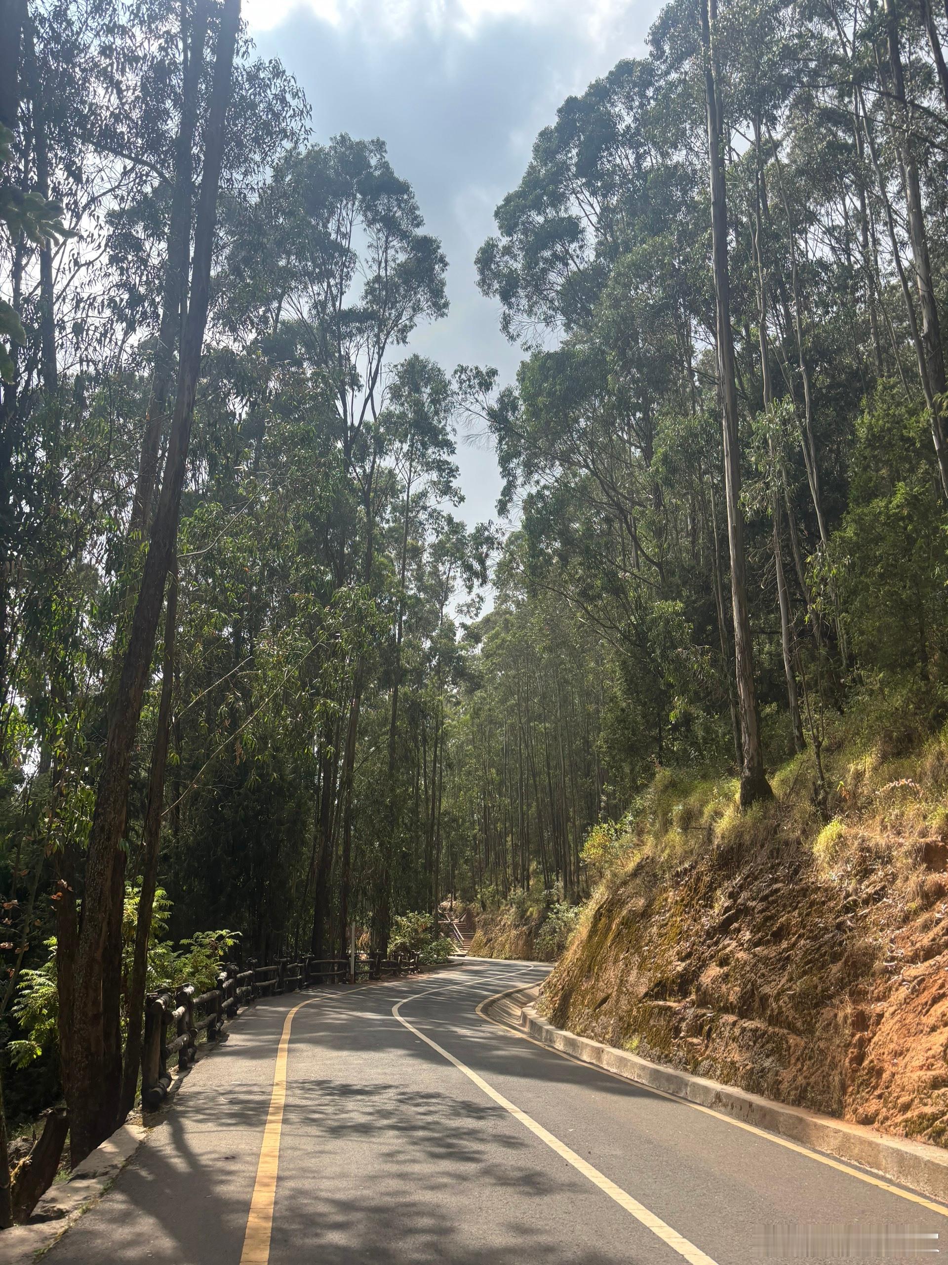 埃塞俄比亚历险记 23         约爬屠屠山说实话，我对黑人姑娘不感冒，他