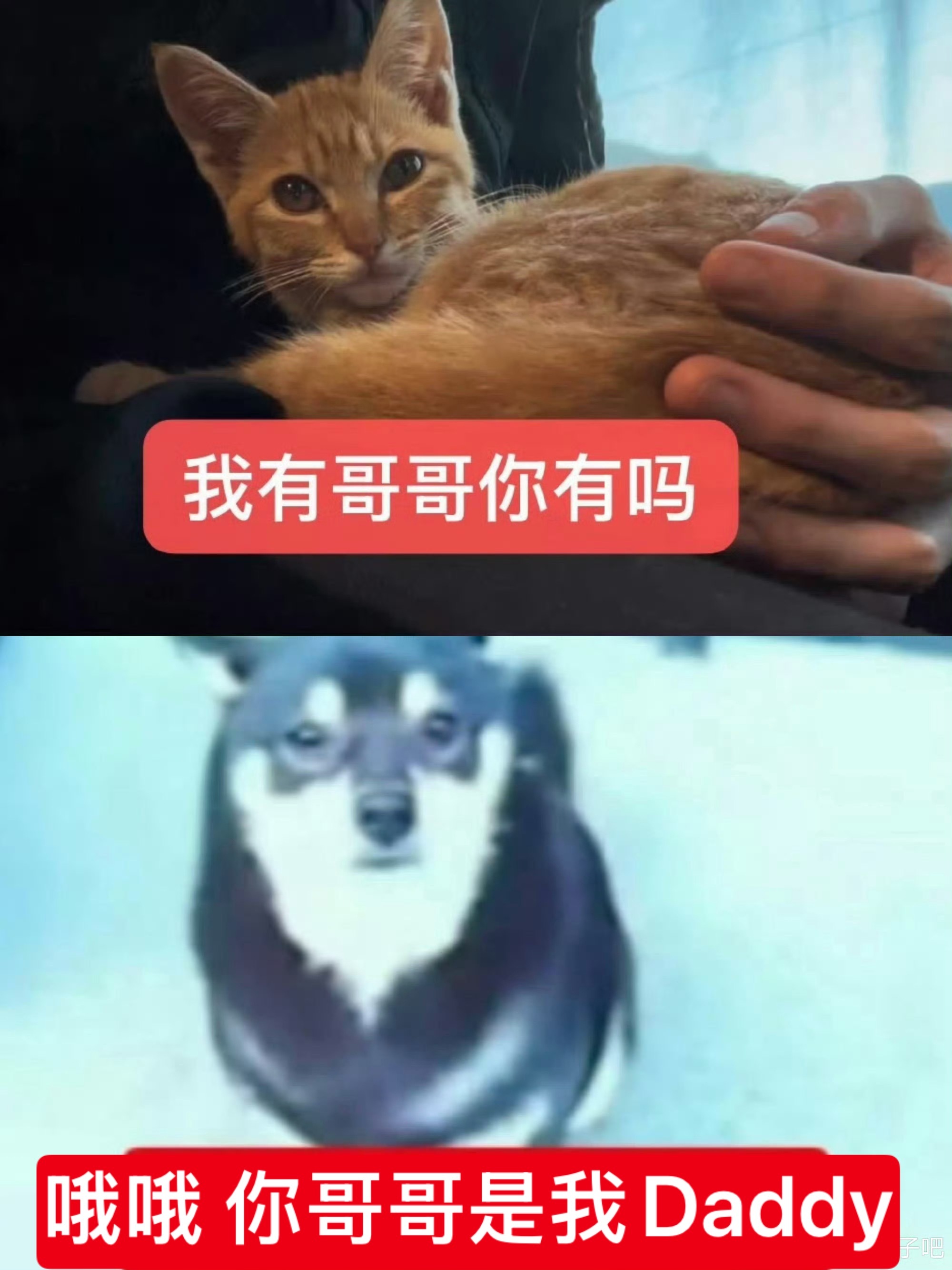马嘉祺 斤略胜一筹