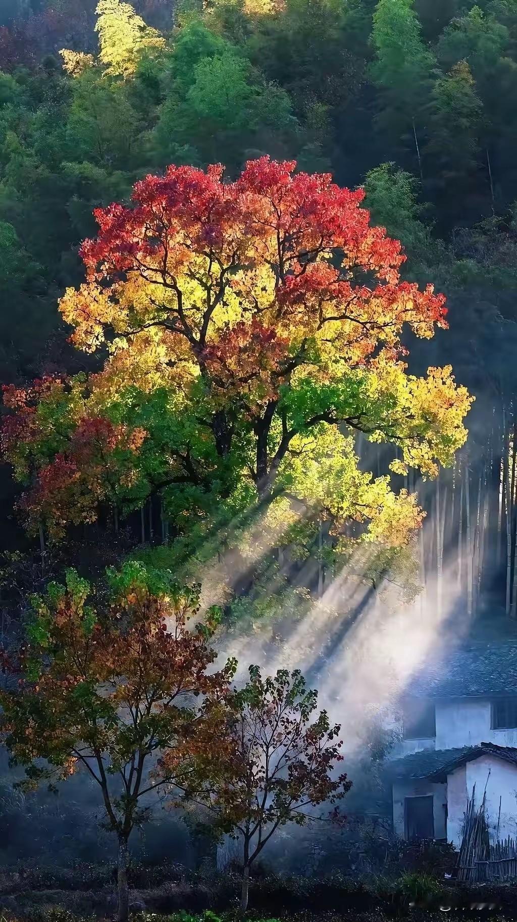 自观而赏其愉，自感而悦其悦