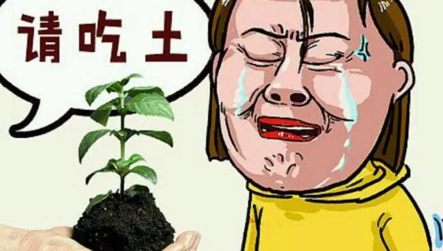 【无收益】依然坚持日更！【太阳照常升起】
为读者「即数码手机爱好者」提供比较有价