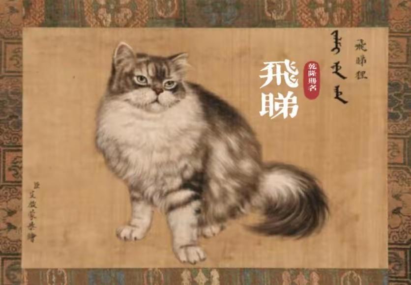 我就这一个爱好和皇家一样了。乾隆有十只爱猫，个有个的名字，文雅知趣。